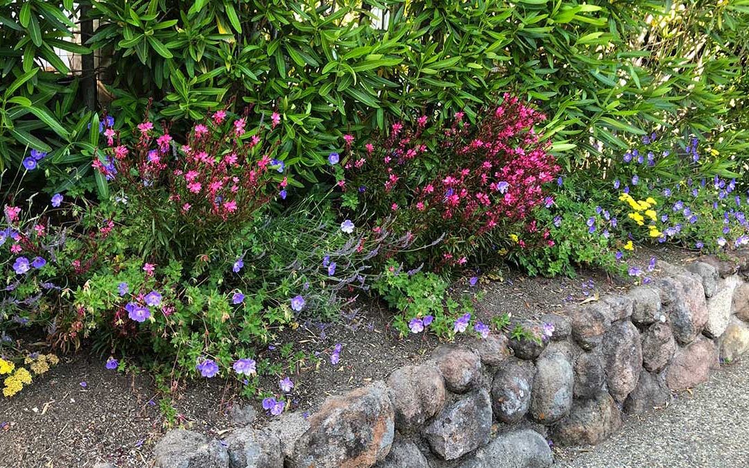 Greenbrae Hilltop