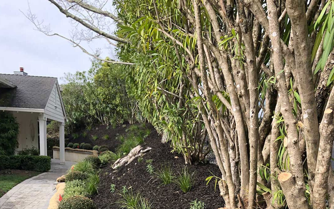 Upper Greenbrae